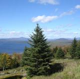 Mooselookmeguntic Lake, Maine, USA<br />photo credit: Wikipedia